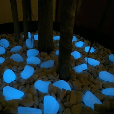 Eli-Glow Photo Luminescent Pebbles (kidney shaped 250g)